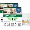 Advantage II XL Dogs Over 55 lbs.|Vet-Recommended Flea Treatment & Prevention|12-Month Supply + Tapeworm Dewormer for Dogs (5 Tablets)