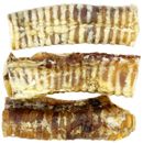 Spizzles Beef Trachea 6" (3-PACK)