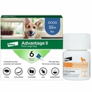 Advantage II XL Dogs Over 55 lbs.|Vet-Recommended Flea Treatment & Prevention|6-Month Supply + Tapeworm Dewormer for Dogs (5 Tablets)