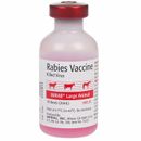 Imrab Vaccine