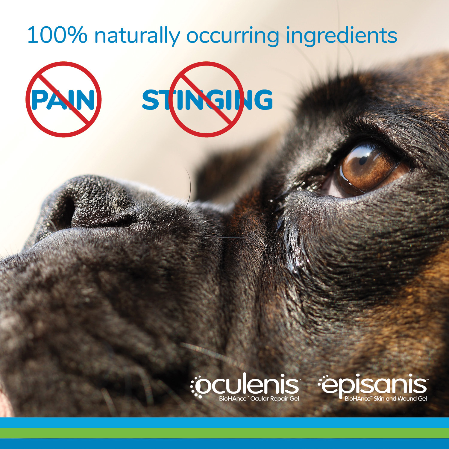 100% naturally occurring ingredients. No pain. No Stinging. Episanis. Ocunovis.