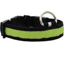 LED Safety Electric Glow Collar - Green (Large)