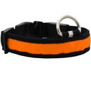 LED Safety Electric Glow Collar - Orange (Small)