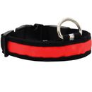 LED Safety Electric Glow Collar - Red (Medium)