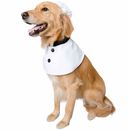 Pet Krewe Apparel & Costumes for Dogs and Cats