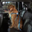 Petedge Harness / Leashes & Car Seat Cover