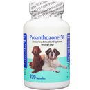 Proanthozone 50mg for Large Dogs (120 count)