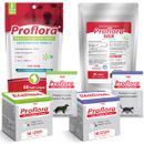 Proflora Probiotics