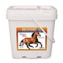 Recovery Horse Joint Care
